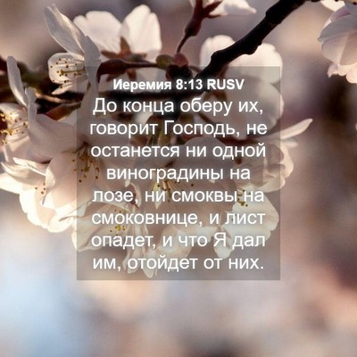 Picture 04 - Иеремия 8:13 RUSV - До конца оберу их, говорит - Bible Verse Picture