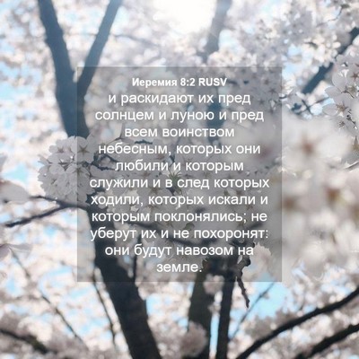 Picture 04 - Иеремия 8:2 RUSV - и раскидают их пред - Bible Verse Picture