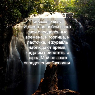 Picture 04 - Иеремия 8:7 RUSV - И аист под небом знает свои - Bible Verse Picture