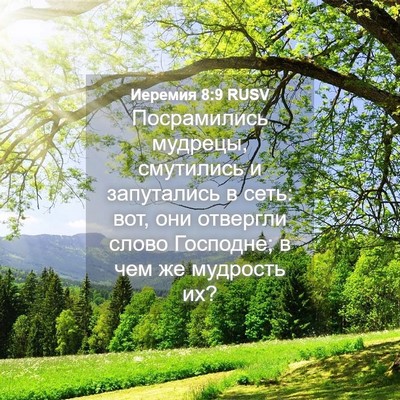 Picture 04 - Иеремия 8:9 RUSV - Посрамились мудрецы, - Bible Verse Picture