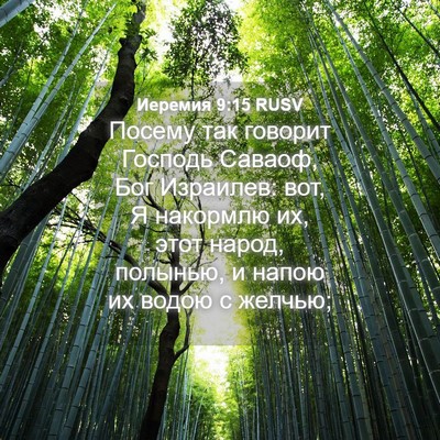 Picture 04 - Иеремия 9:15 RUSV - Посему так говорит Господь - Bible Verse Picture