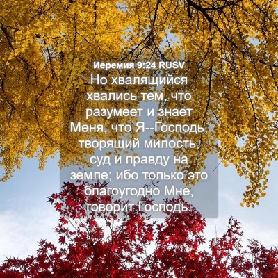 Picture 04 - Иеремия 9:24 RUSV - Но хвалящийся хвались тем, - Bible Verse Picture