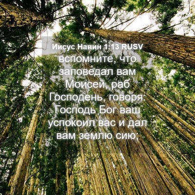 Picture 04 - Иисус Навин 1:13 RUSV - вспомните, что заповедал - Bible Verse Picture