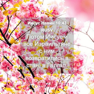 Picture 04 - Иисус Навин 10:43 RUSV - Потом Иисус и все - Bible Verse Picture