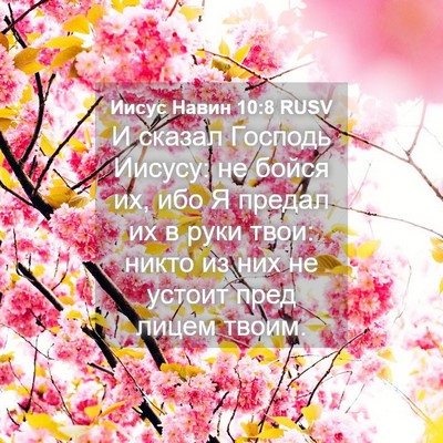 Picture 04 - Иисус Навин 10:8 RUSV - И сказал Господь Иисусу: не - Bible Verse Picture