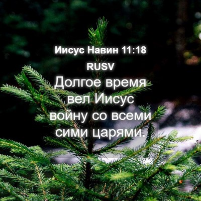 Picture 04 - Иисус Навин 11:18 RUSV - Долгое время вел Иисус - Bible Verse Picture