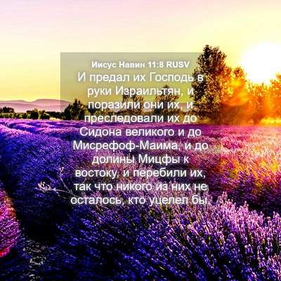 Picture 04 - Иисус Навин 11:8 RUSV - И предал их Господь в руки - Bible Verse Picture