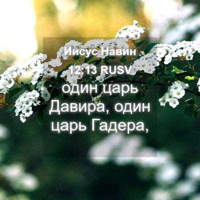 Picture 04 - Иисус Навин 12:13 RUSV - один царь Давира, один царь - Bible Verse Picture