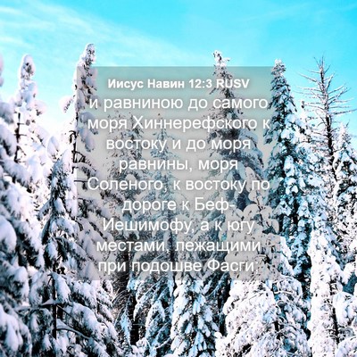 Picture 04 - Иисус Навин 12:3 RUSV - и равниною до самого моря - Bible Verse Picture