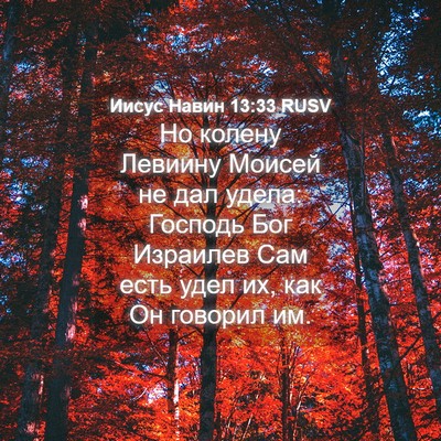 Picture 04 - Иисус Навин 13:33 RUSV - Но колену Левиину Моисей - Bible Verse Picture