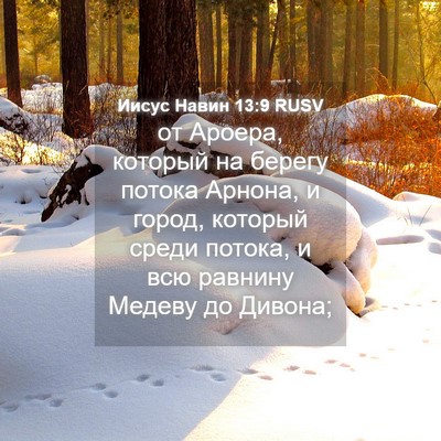 Picture 04 - Иисус Навин 13:9 RUSV - от Ароера, который на - Bible Verse Picture