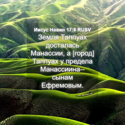 Picture 04 - Иисус Навин 17:8 RUSV - Земля Таппуах досталась - Bible Verse Picture