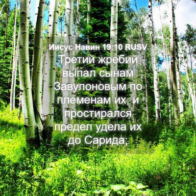 Picture 04 - Иисус Навин 19:10 RUSV - Третий жребий выпал сынам - Bible Verse Picture
