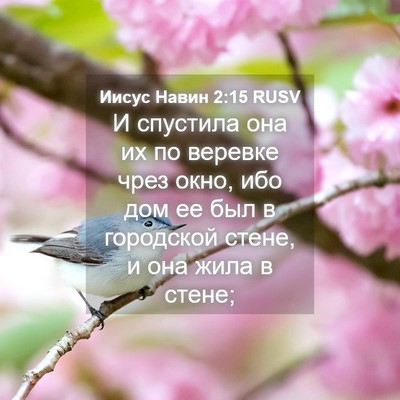 Picture 04 - Иисус Навин 2:15 RUSV - И спустила она их по - Bible Verse Picture