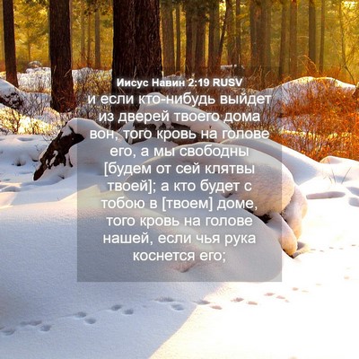 Picture 04 - Иисус Навин 2:19 RUSV - и если кто-нибудь выйдет из - Bible Verse Picture