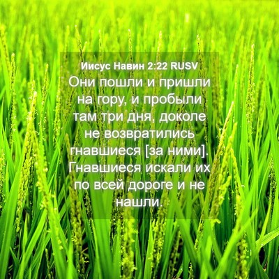 Picture 04 - Иисус Навин 2:22 RUSV - Они пошли и пришли на гору, - Bible Verse Picture