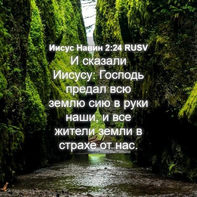 Picture 04 - Иисус Навин 2:24 RUSV - И сказали Иисусу: Господь - Bible Verse Picture