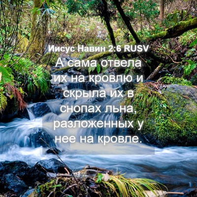 Picture 04 - Иисус Навин 2:6 RUSV - А сама отвела их на кровлю - Bible Verse Picture