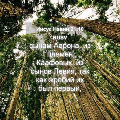 Picture 04 - Иисус Навин 21:10 RUSV - сынам Аарона, из племен - Bible Verse Picture