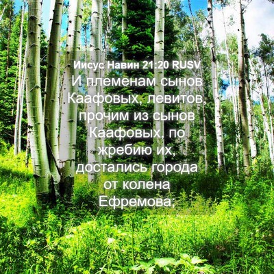 Picture 04 - Иисус Навин 21:20 RUSV - И племенам сынов Каафовых, - Bible Verse Picture