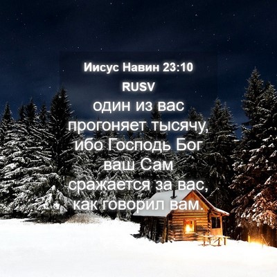Picture 04 - Иисус Навин 23:10 RUSV - один из вас прогоняет - Bible Verse Picture