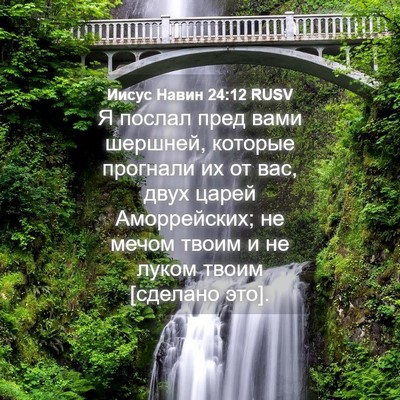 Picture 04 - Иисус Навин 24:12 RUSV - Я послал пред вами шершней, - Bible Verse Picture