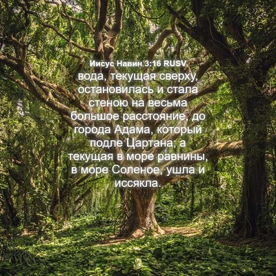 Picture 04 - Иисус Навин 3:16 RUSV - вода, текущая сверху, - Bible Verse Picture