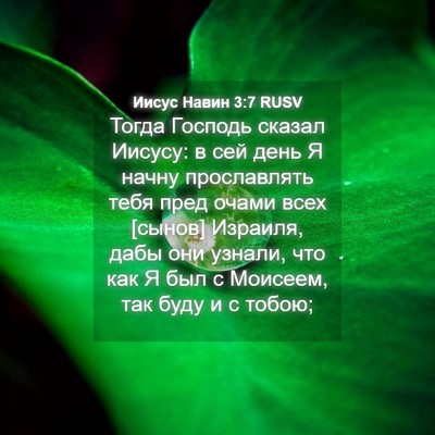 Picture 04 - Иисус Навин 3:7 RUSV - Тогда Господь сказал - Bible Verse Picture