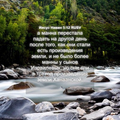 Picture 04 - Иисус Навин 5:12 RUSV - а манна перестала падать - Bible Verse Picture