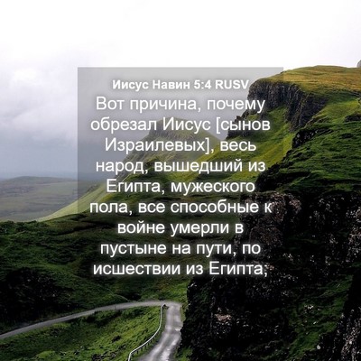 Picture 04 - Иисус Навин 5:4 RUSV - Вот причина, почему - Bible Verse Picture