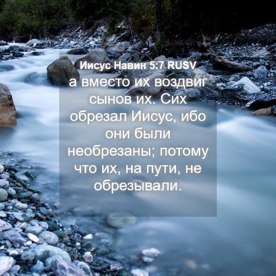 Picture 04 - Иисус Навин 5:7 RUSV - а вместо их воздвиг сынов - Bible Verse Picture
