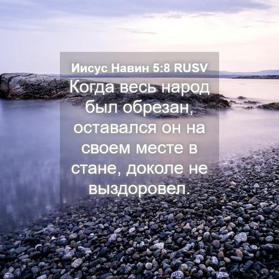 Picture 04 - Иисус Навин 5:8 RUSV - Когда весь народ был - Bible Verse Picture
