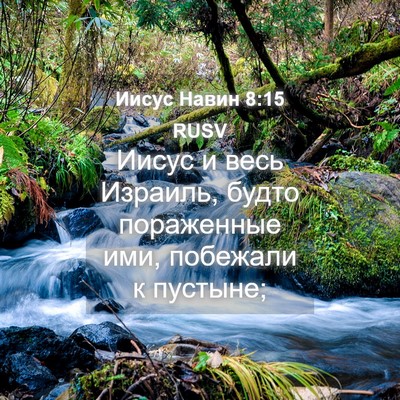 Picture 04 - Иисус Навин 8:15 RUSV - Иисус и весь Израиль, будто - Bible Verse Picture