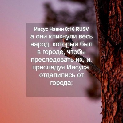 Picture 04 - Иисус Навин 8:16 RUSV - а они кликнули весь народ, - Bible Verse Picture