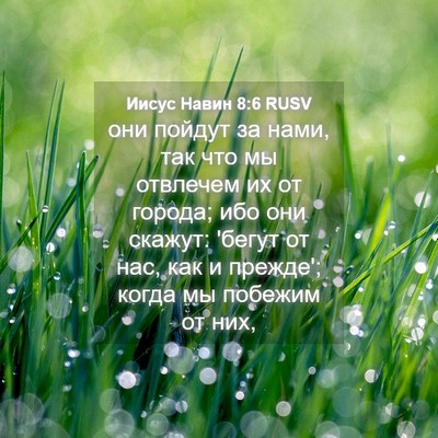 Picture 04 - Иисус Навин 8:6 RUSV - они пойдут за нами, так что - Bible Verse Picture