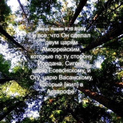 Picture 04 - Иисус Навин 9:10 RUSV - и все, что Он сделал двум - Bible Verse Picture