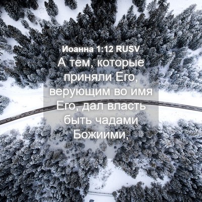 Picture 04 - Иоанна 1:12 RUSV - А тем, которые приняли Его, - Bible Verse Picture