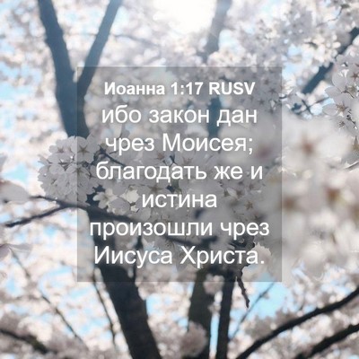 Picture 04 - Иоанна 1:17 RUSV - ибо закон дан чрез Моисея; - Bible Verse Picture
