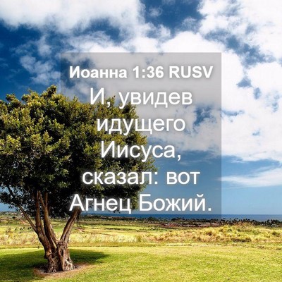 Picture 04 - Иоанна 1:36 RUSV - И, увидев идущего Иисуса, - Bible Verse Picture