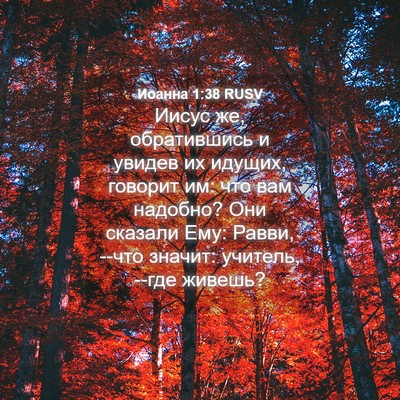 Picture 04 - Иоанна 1:38 RUSV - Иисус же, обратившись и - Bible Verse Picture