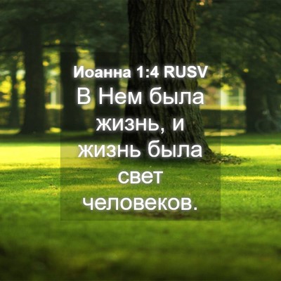Picture 04 - Иоанна 1:4 RUSV - В Нем была жизнь, и жизнь - Bible Verse Picture
