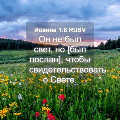 Picture 04 - Иоанна 1:8 RUSV - Он не был свет, но [был - Bible Verse Picture