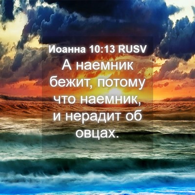 Picture 04 - Иоанна 10:13 RUSV - А наемник бежит, потому что - Bible Verse Picture