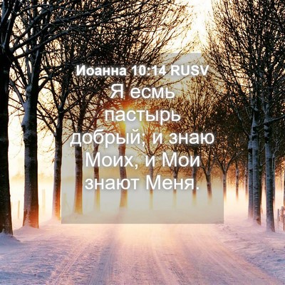 Picture 04 - Иоанна 10:14 RUSV - Я есмь пастырь добрый; и - Bible Verse Picture