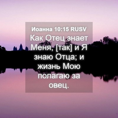 Picture 04 - Иоанна 10:15 RUSV - Как Отец знает Меня, [так] и - Bible Verse Picture
