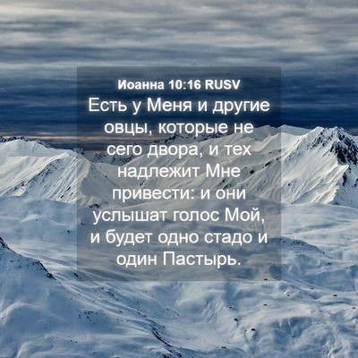 Picture 04 - Иоанна 10:16 RUSV - Есть у Меня и другие овцы, - Bible Verse Picture