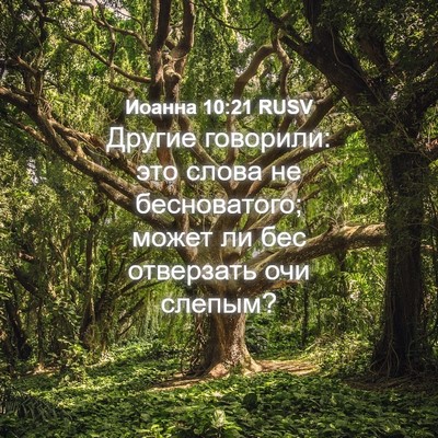 Picture 04 - Иоанна 10:21 RUSV - Другие говорили: это слова - Bible Verse Picture
