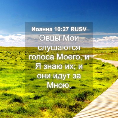 Picture 04 - Иоанна 10:27 RUSV - Овцы Мои слушаются голоса - Bible Verse Picture