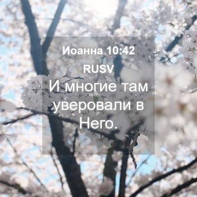 Picture 04 - Иоанна 10:42 RUSV - И многие там уверовали в - Bible Verse Picture