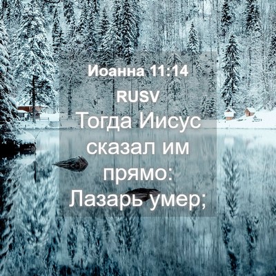 Picture 04 - Иоанна 11:14 RUSV - Тогда Иисус сказал им - Bible Verse Picture